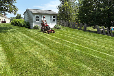 Lawn Care & Maintenance