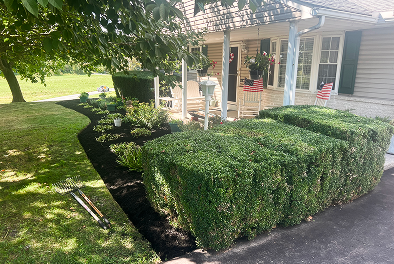 Lawn Care & Maintenance