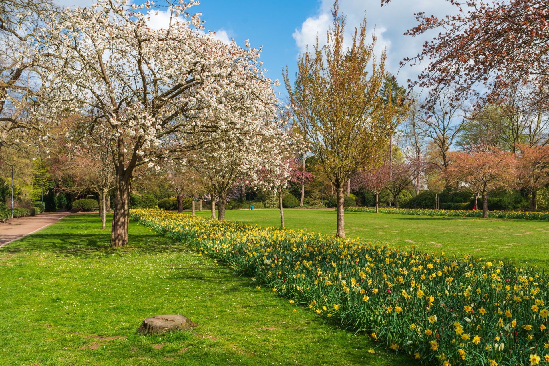 A home in spring cleaned up by Landscapes by Landon