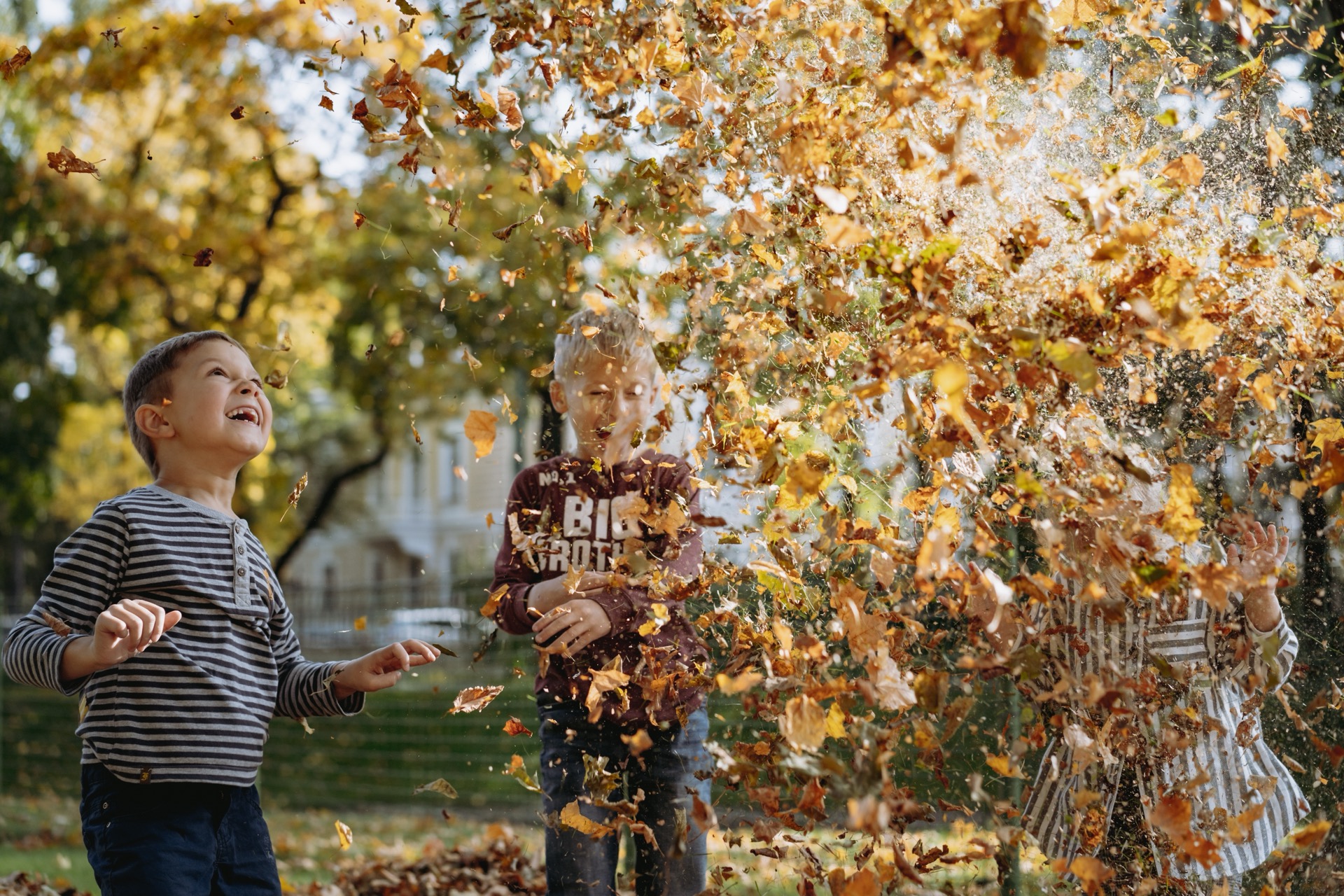 Kids playin in leaves before leaf cleanup